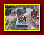 Kliknij aby powiększyć
